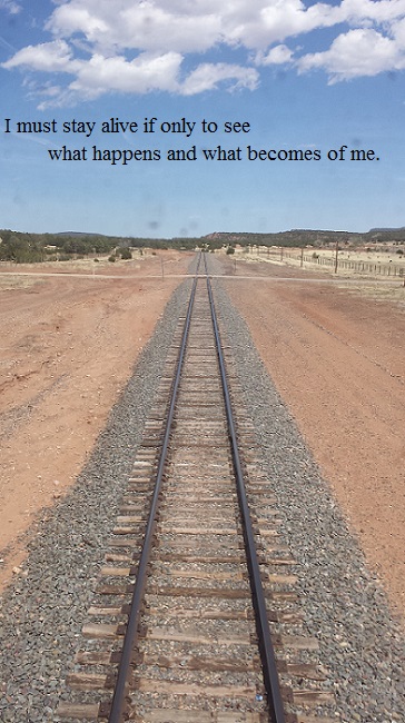 Train tracks recede into the past